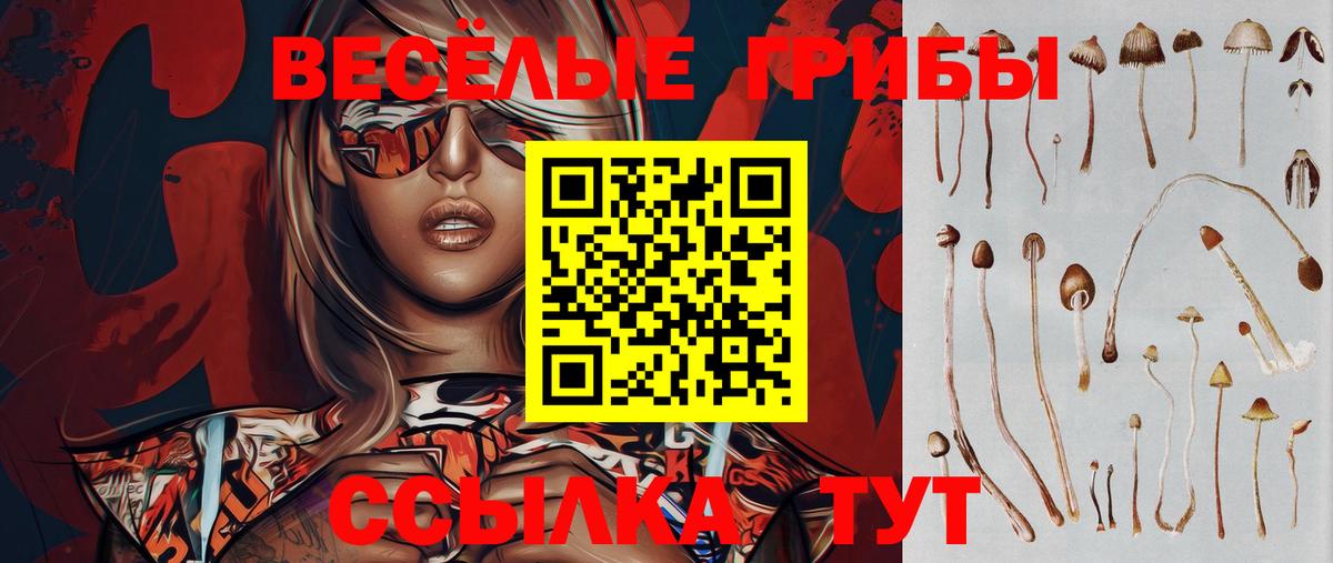Шали  Псилоцибиновые грибы Psilocybe  Вход с VPN 