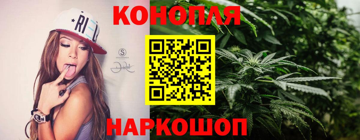 Бошки Шишки ГИДРОПОН Шали